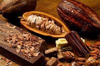 Giá cacao được hỗ trợ do Cameroon giảm xuất khẩu