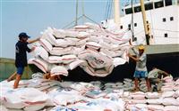 Lượng gạo xuất khẩu từ Việt Nam sang Trung Quốc tăng
